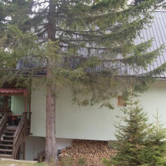Greenhouse in Sarajevo, Bosnia and Herzegovina from 109$, photos, reviews - zenhotels.com photo 5