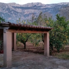 Can Guixa - Bild 8