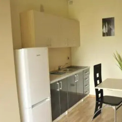 Отель Apartamentai Trys pušys Литва, Швянтойи - отзывы, цены и фото номеров - забронировать отель Apartamentai Trys pušys онлайн фото 6