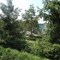 Отель Legenda Health Resort Кыргызстан, Каджи-Сай - отзывы, цены и фото номеров - забронировать отель Legenda Health Resort онлайн комната для гостей фото 4