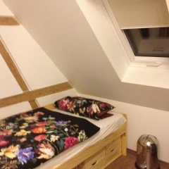 Old Town Guesthouse  Erlangen - Bild 1