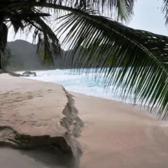 Residence on the Rocks in Mahe Island, Seychelles from 262$, photos, reviews - zenhotels.com photo 5