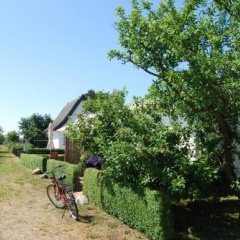Ferienwohnung Hiddensee in Vitte - Bild 9