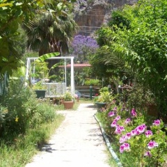 Adabella Pension - Bild 10