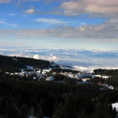 SM Apartments Kopaonik in Kopaonik, Serbia from 59$, photos, reviews - zenhotels.com photo 5