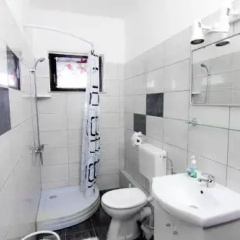 Apartments and Rooms Ivana thumbnail 8