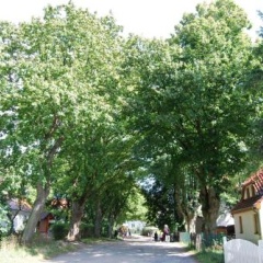 Hotel Enddorn - Bild 11