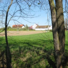Ferienhof Rieger - Bild 6