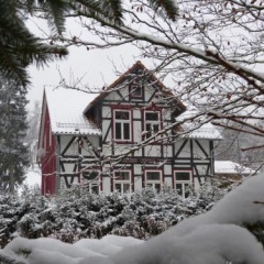 Harzhaus Schneewittchen - Bild 1