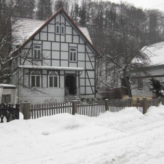 Waldhaus - Bild 2