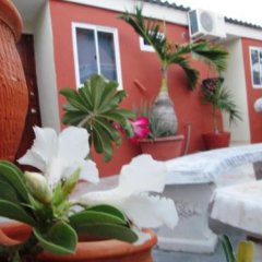 Terrakota Apartments in Willemstad, Curacao from 200$, photos, reviews - zenhotels.com photo 7