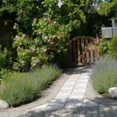 Haus Vincent Stralsund - Bild 7