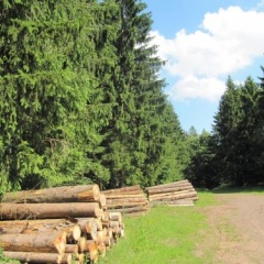 Ferienwohnung Römerstein - Bild 4