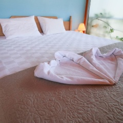 Sayli Hotel - Bild 3