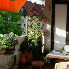 Freiraum in Freiburg - Bild 7