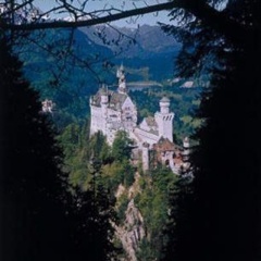 Ferienhotel Berger - Bild 11