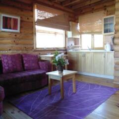 Holiday homes Castania in Straseni, Moldova from 106$, photos, reviews - zenhotels.com photo 7