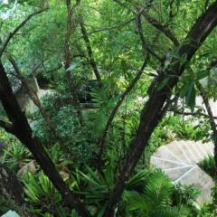 Residence on the Rocks in Mahe Island, Seychelles from 262$, photos, reviews - zenhotels.com photo 9
