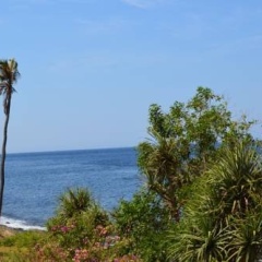 Toya Villa - Bild 12
