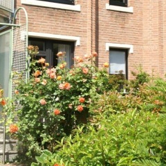 Ferienwohnung Carpe Diem - Bild 2