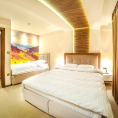 Pansion Winter in Jahorina, Bosnia and Herzegovina from 97$, photos, reviews - zenhotels.com guestroom