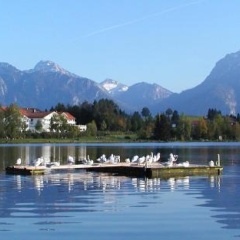 Landhaus Seeblick - Bild 8
