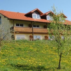 Ferienhof Rieger - Bild 7