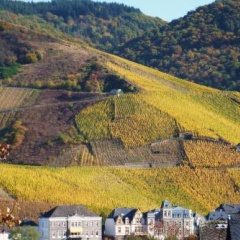 Schendels Suite - Bild 7