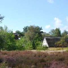 Doppelhaushälfte in Vitte auf Hiddensee - Bild 3