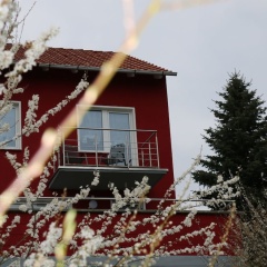 Ferienhaus-SweetHome-Hunde-willkommen - Bild 1