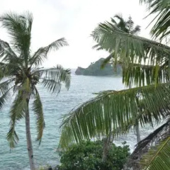 Goviyapana Beach Hotel thumbnail 14