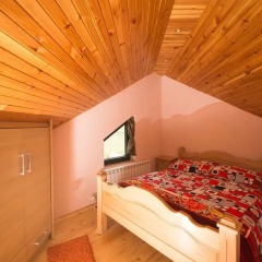 Vila AS in Zabljak, Montenegro from 74$, photos, reviews - zenhotels.com photo 10