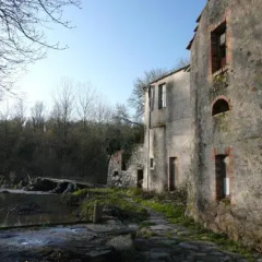 Gourmet de Nature thumbnail 5