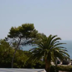 The Sea at Your Fingertips thumbnail 9