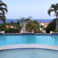 Holiday House Royal Palm Piscadera in Willemstad, Curacao from 198$, photos, reviews - zenhotels.com photo 7