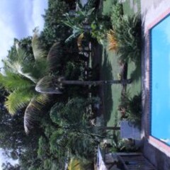 Del Mar Eco Lodging Apartments in Luquillo, Puerto Rico from 203$, photos, reviews - zenhotels.com pool photo 2