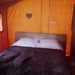 Glamping im Safaritent - Bild 7