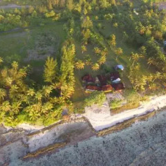 Отель Tifaifai & Cafe Французская Полинезия, Хуахине - отзывы, цены и фото номеров - забронировать отель Tifaifai & Cafe онлайн фото 11