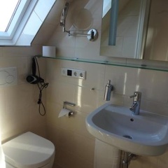 Meeresstern - Bild 11