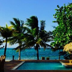 The Beach House - Palmetto Coasts in Roatan, Honduras from 285$, photos, reviews - zenhotels.com pool photo 2