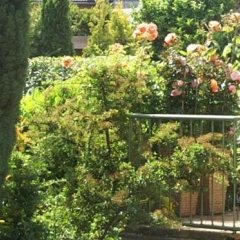 Ferienwohnung Carpe Diem - Bild 5