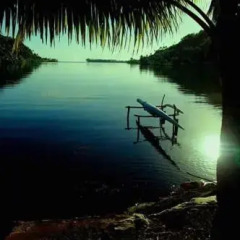 Отель B & B Meri Island - Huahine Французская Полинезия, Хуахине - отзывы, цены и фото номеров - забронировать отель B & B Meri Island - Huahine онлайн приотельная территория