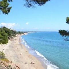 WVP - La Caleta thumbnail 7