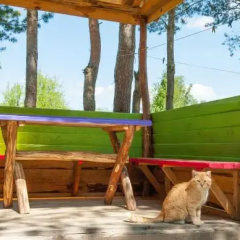 Guest House na Opushke thumbnail 8