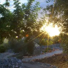 Tenuta Palma thumbnail 6