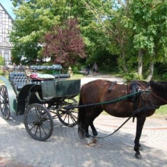 Hotel Enddorn - Bild 4