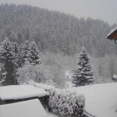 Ferienhaus Harzwichtel - Bild 9