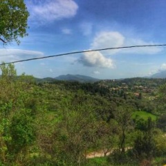 Sofia's Villa In Nature thumbnail 10