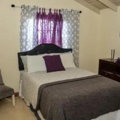 Отель Williams Guest House Ямайка, Рио Буэно - отзывы, цены и фото номеров - забронировать отель Williams Guest House онлайн фото 11