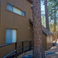 Lake Village 188 thumbnail 9